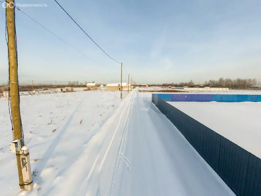 Участок в Тюмень, ОНТ Большое Царёво-3 (9.74 м) - Фото 2