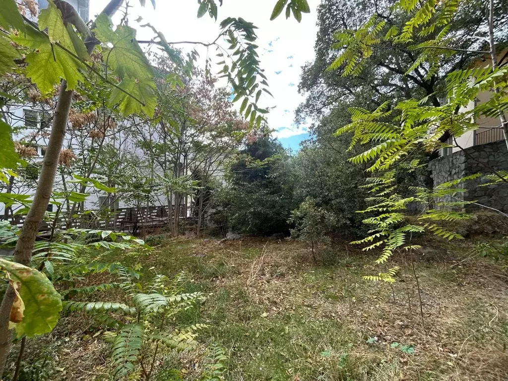 Дом в Крым, Ялта муниципальный округ, Кореиз пгт ш. Алупкинское (791 ... - Фото 2