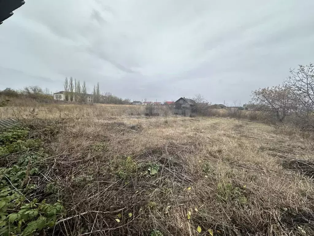 Участок в Воронежская область, Борисоглебский городской округ, с. ... - Фото 0