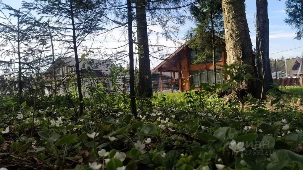Участок в Московская область, Солнечногорск городской округ, ... - Фото 1
