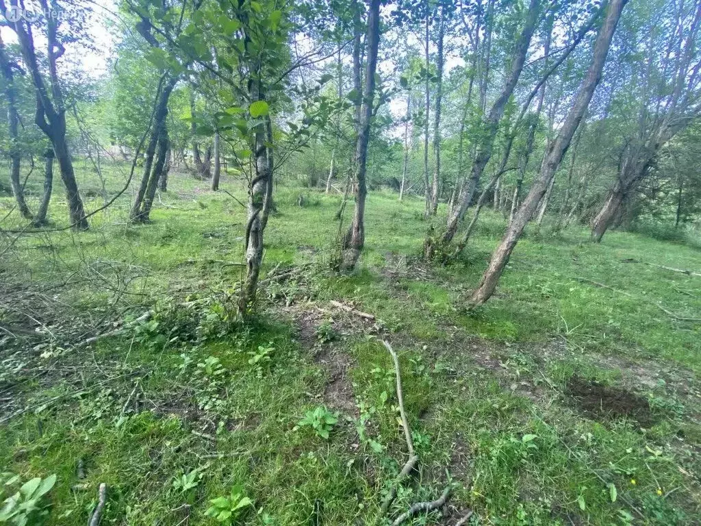 Участок в Краснодарский край, Сочи (4.9 м) - Фото 1