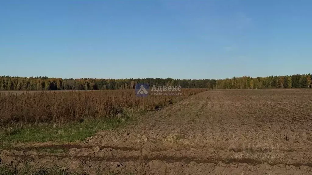 Участок в Тюменская область, Тюменский муниципальный округ, с. Каменка ... - Фото 2