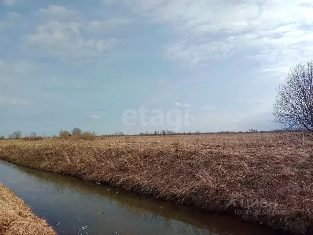 Участок в Псковская область, Гдов городское поселение, д. Луневщина  ... - Фото 1