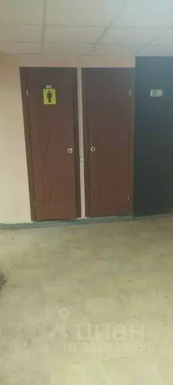 Помещение свободного назначения в Псковская область, Невель пл. Карла ... - Фото 1