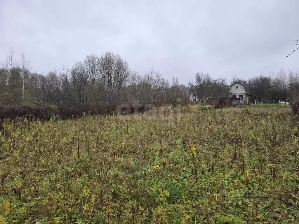 Участок в Брянская область, Брянский район, Снежское с/пос, с. ... - Фото 1