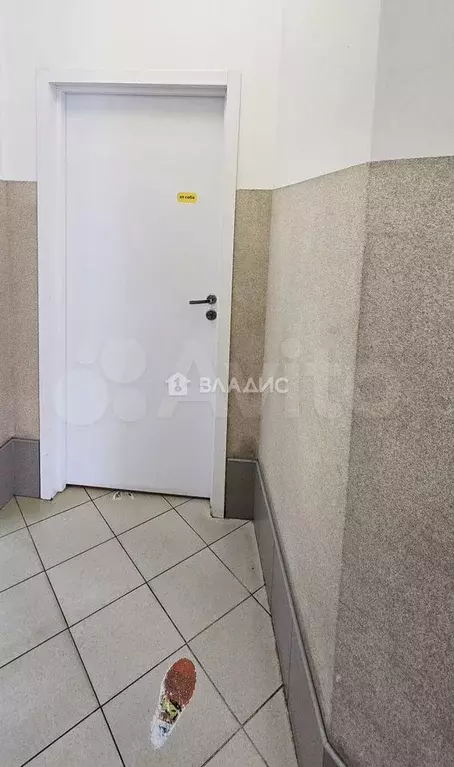 Сдам помещение свободного назначения, 31 м - Фото 1