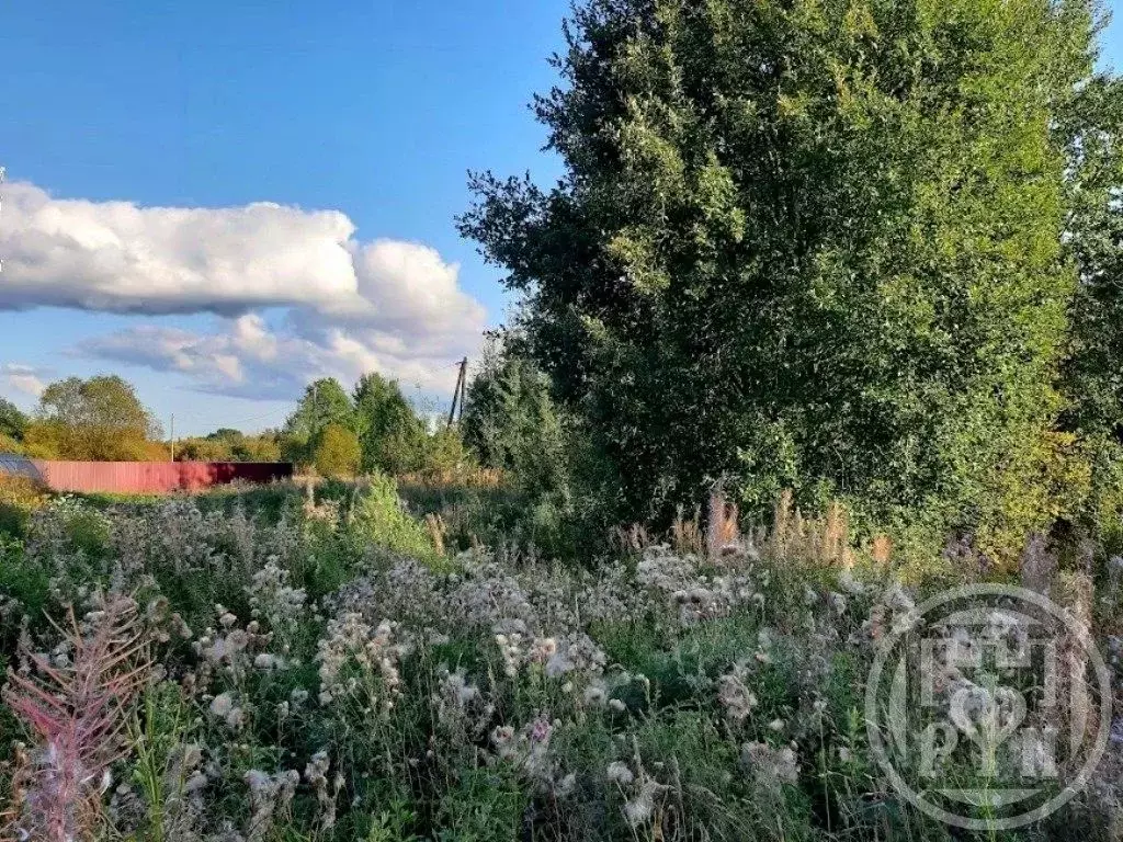 Участок в Ленинградская область, Приозерский район, Красноозерное ... - Фото 2