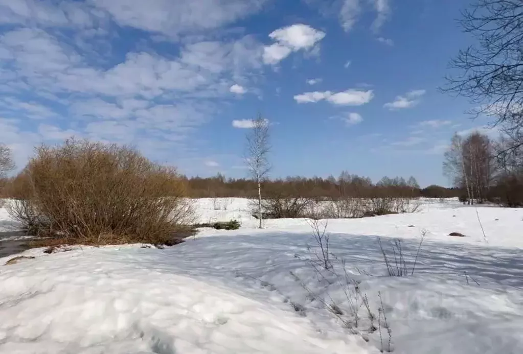 Участок в Московская область, Можайский муниципальный округ, д. ... - Фото 1