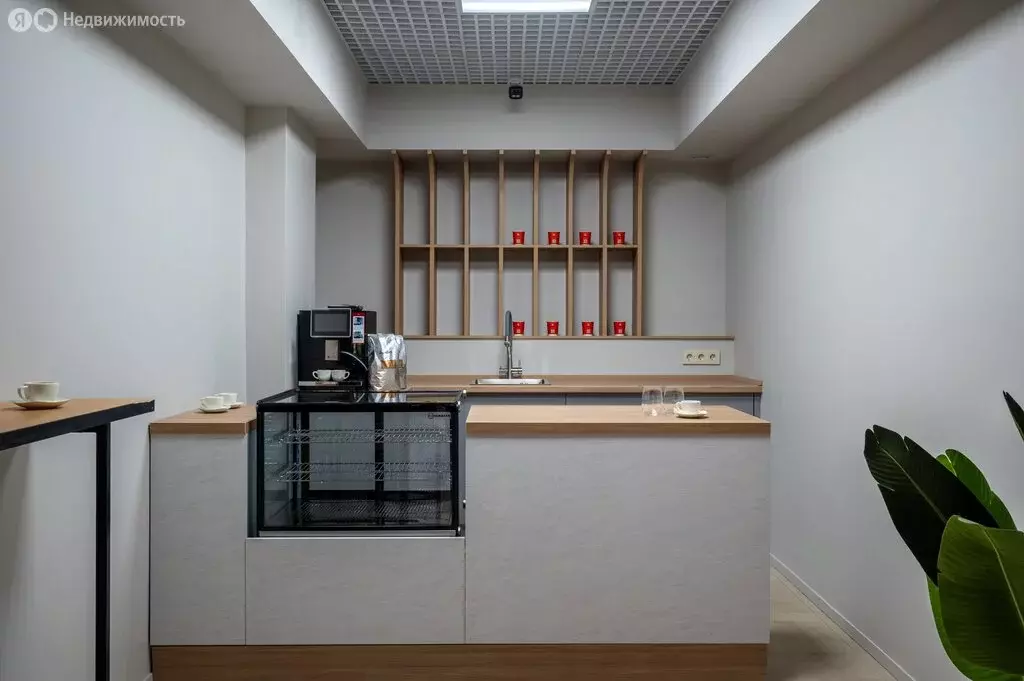 Офис (38 м) - Фото 1