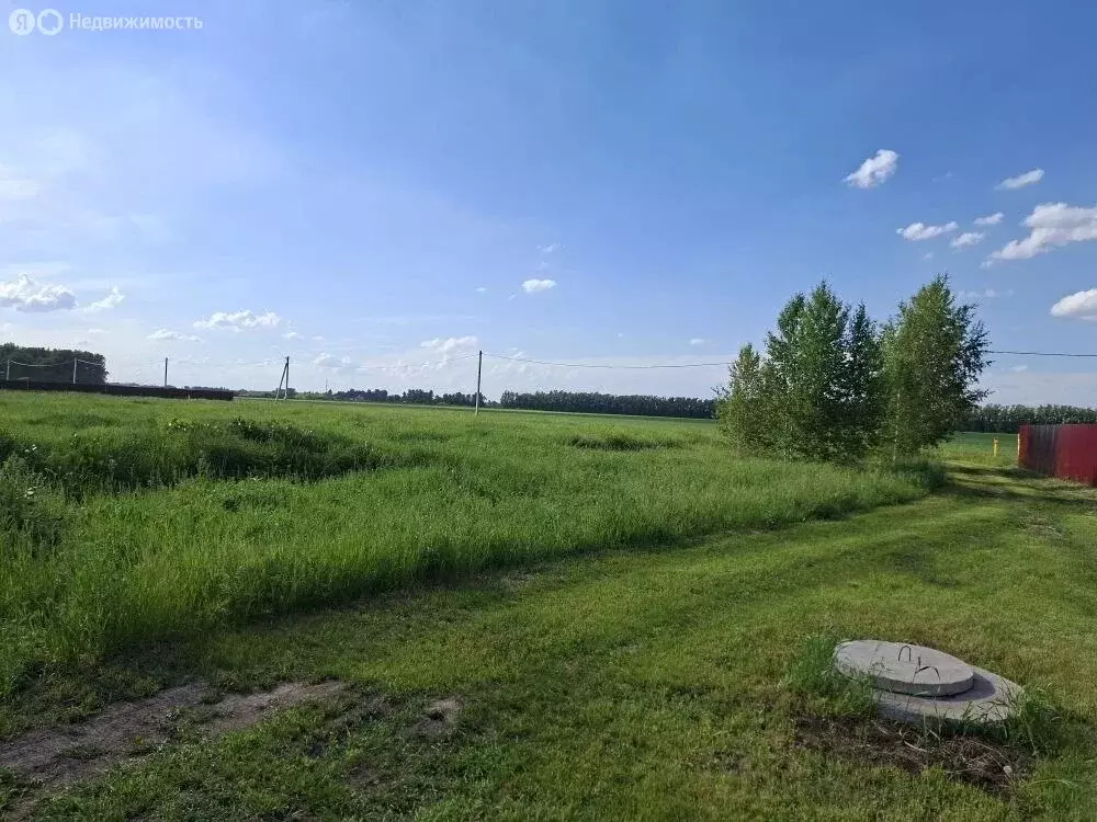 Участок в муниципальный округ Омский район, деревня Ракитинка ... - Фото 2