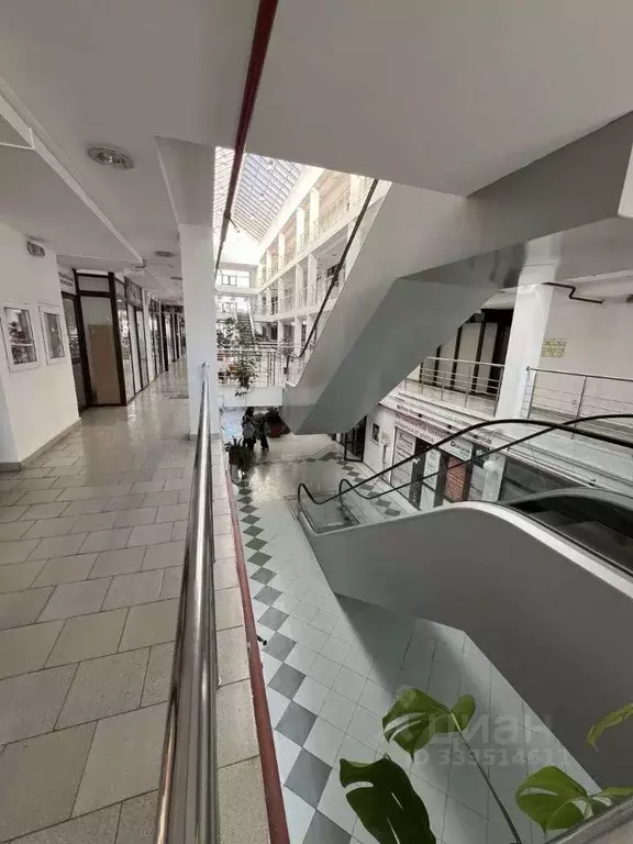 Офис в Севастополь ул. Очаковцев, 19 (90 м) - Фото 2