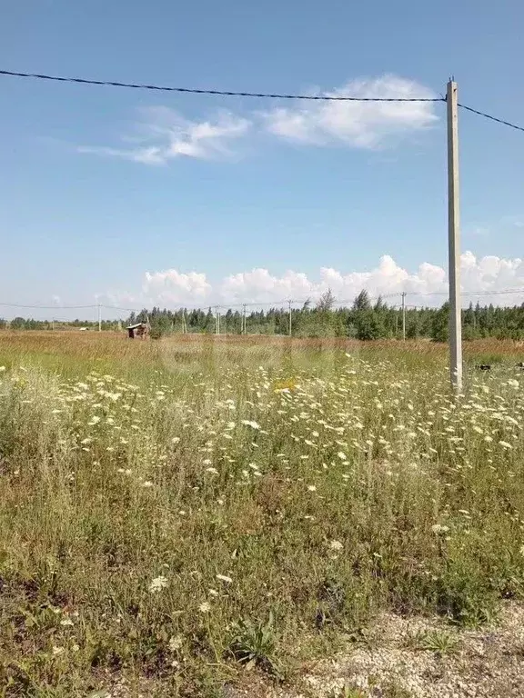 Участок в Липецкая область, Добровский муниципальный округ, с. ... - Фото 1