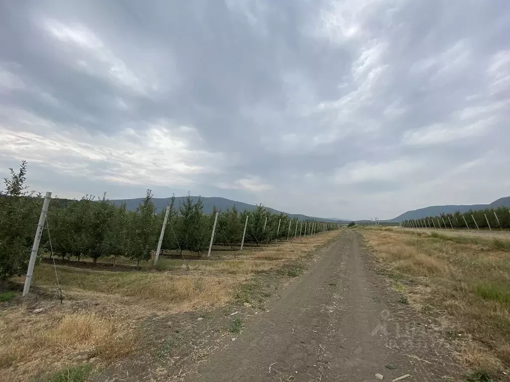 Участок в Крым, Белогорский район, Курское с/пос  (9.4 сот.) - Фото 2