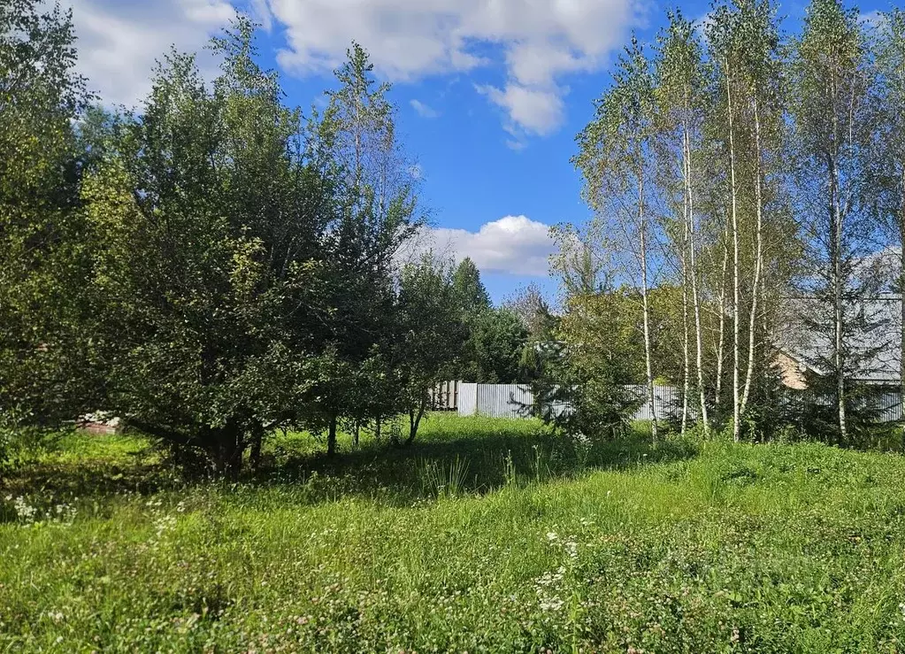 Участок в Московская область, Одинцовский городской округ, д. Липки  ... - Фото 1
