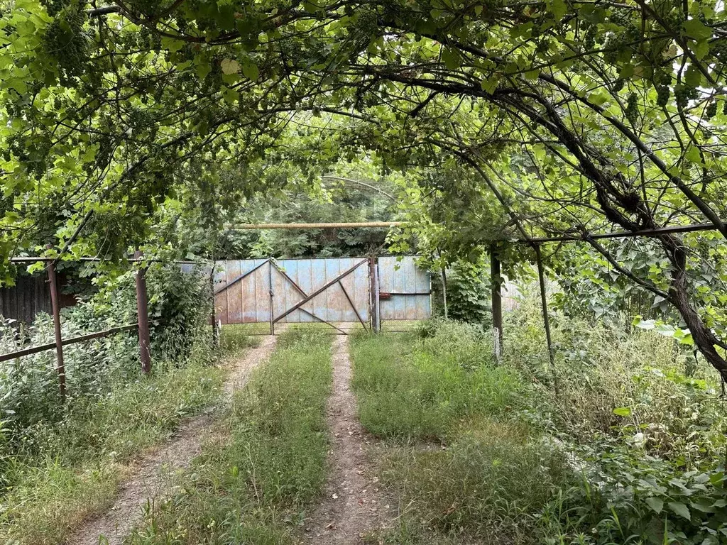 Дом в Адыгея, Гиагинский район, Сергиевское с/пос, Екатериновский хут. ... - Фото 2
