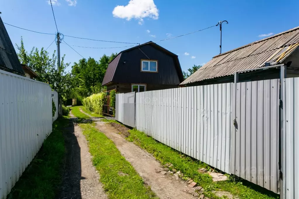 Участок в Новосибирская область, Новосибирск СНТ Рассвет тер., 109 ... - Фото 0