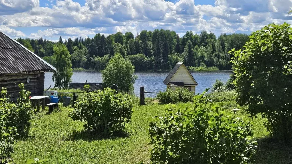 Участок в Новгородская область, Демянский муниципальный округ, д. ... - Фото 1