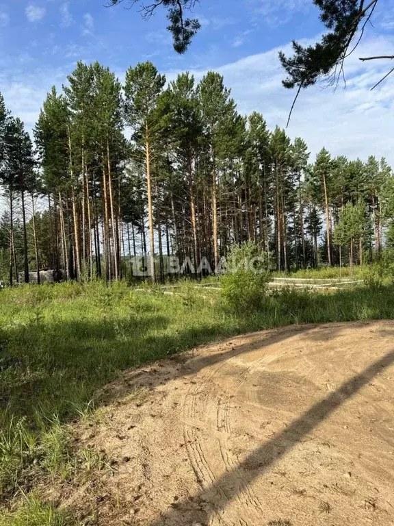 Участок в Забайкальский край, Читинский район, Атамановское городское ... - Фото 1