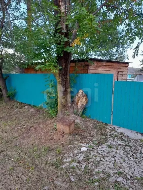 Дом в Амурская область, Ивановский муниципальный округ, с. Березовка ... - Фото 0