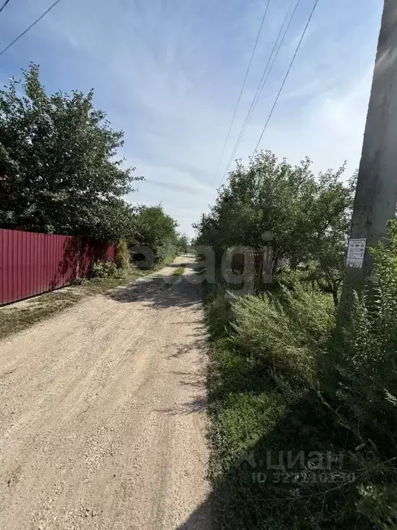 Участок в Воронежская область, Рамонский район, Новоживотинновское ... - Фото 2