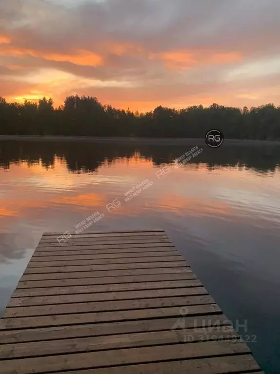 Дом в Ленинградская область, Тосненский район, Любанское городское ... - Фото 1