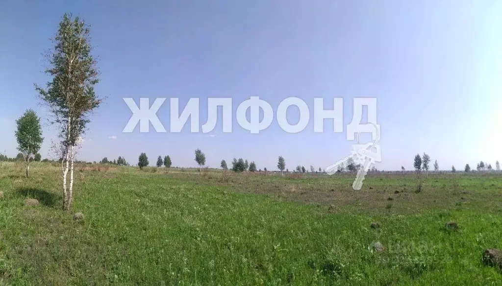Участок в Новосибирская область, Новосибирский район, Кудряшовский ... - Фото 1