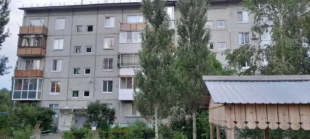 3-к кв. Омская область, Омский район, с. Красноярка ул. Коммунальник, ... - Фото 1