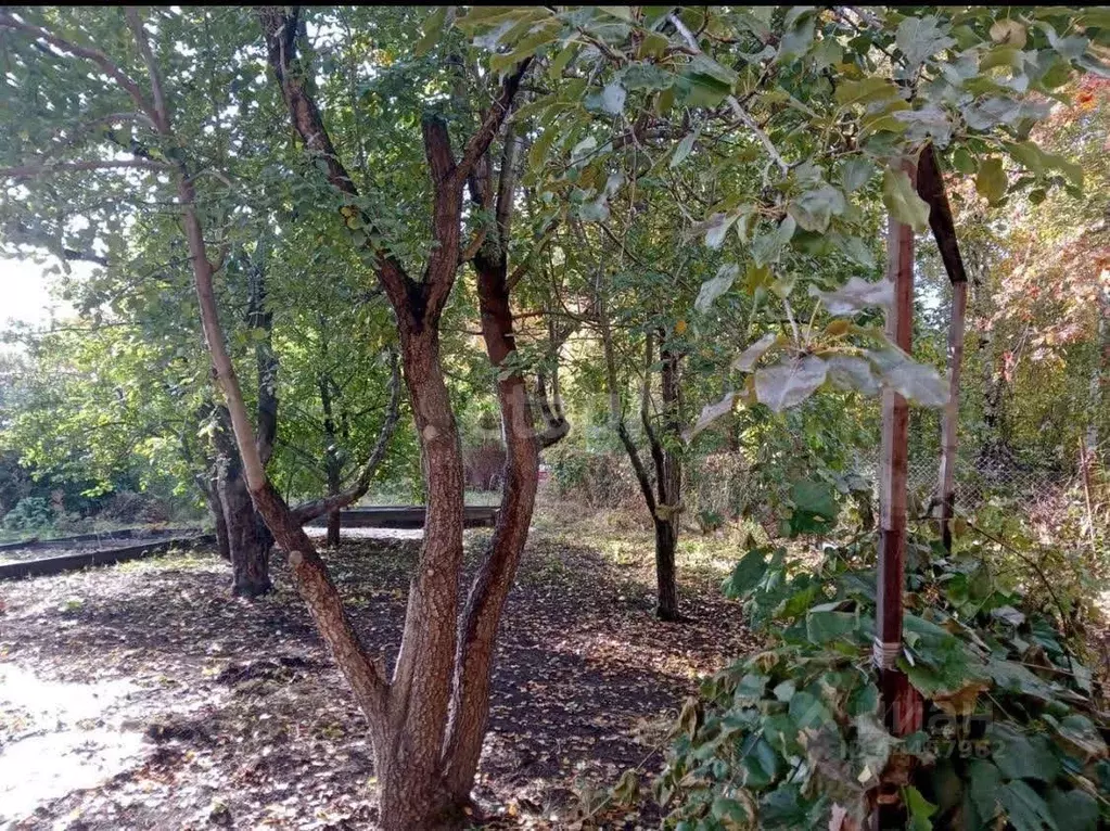 Пятигорск Купить Участок В Снт Меридиан