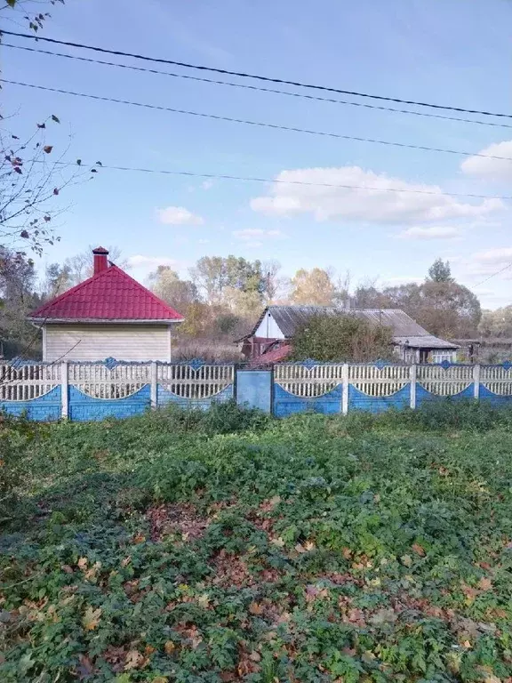 Дом в Орловская область, Шаблыкино пгт ул. Шурупова, 37 (39 м) - Фото 0