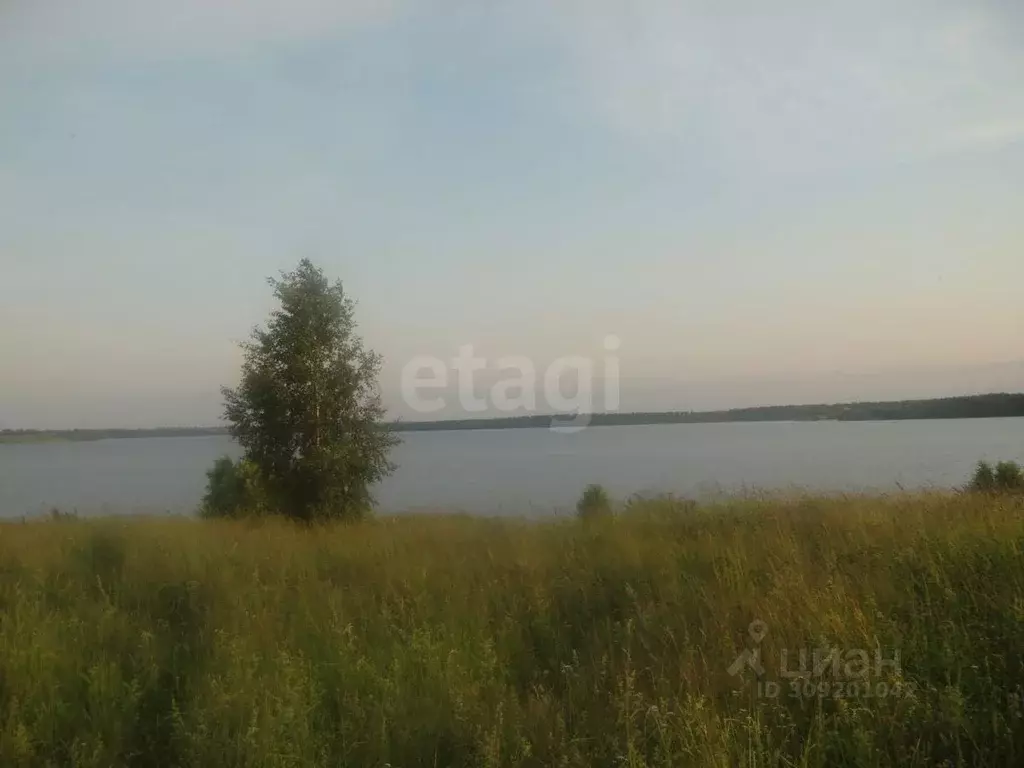 Дом в Костромская область, Кадыйский муниципальный округ, с. Столпино ... - Фото 1