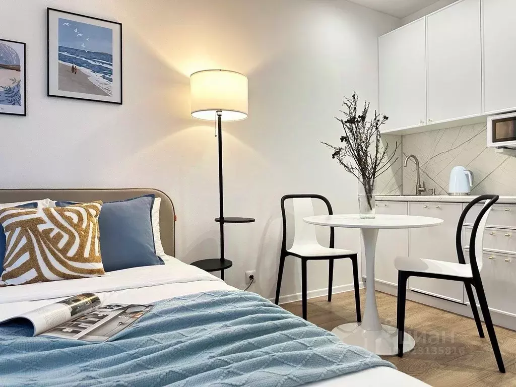 Студия Москва ул. Трехполье, 6к1 (20.0 м) - Фото 1