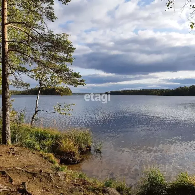 Участок в Ленинградская область, Выборгский район, Красносельское ... - Фото 0