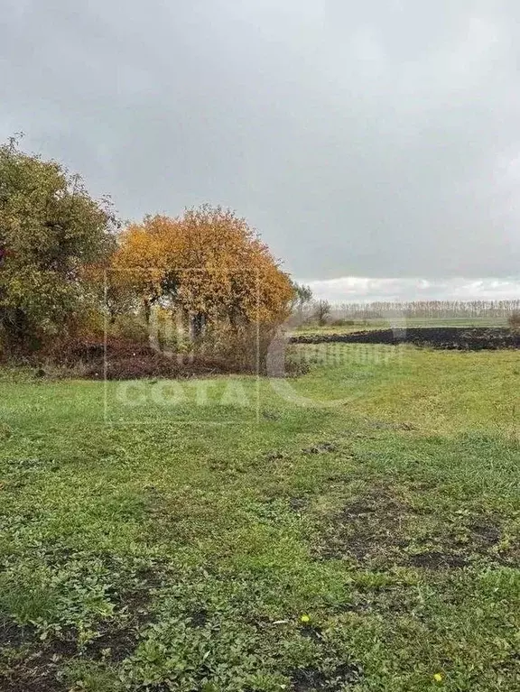 Дом в Воронежская область, Панинский район, Ивановское с/пос, с. ... - Фото 2