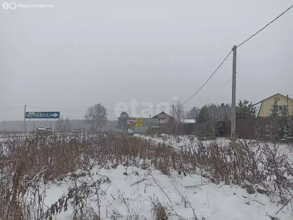 Участок в муниципальное образование Новосельское, деревня Чернево ... - Фото 1