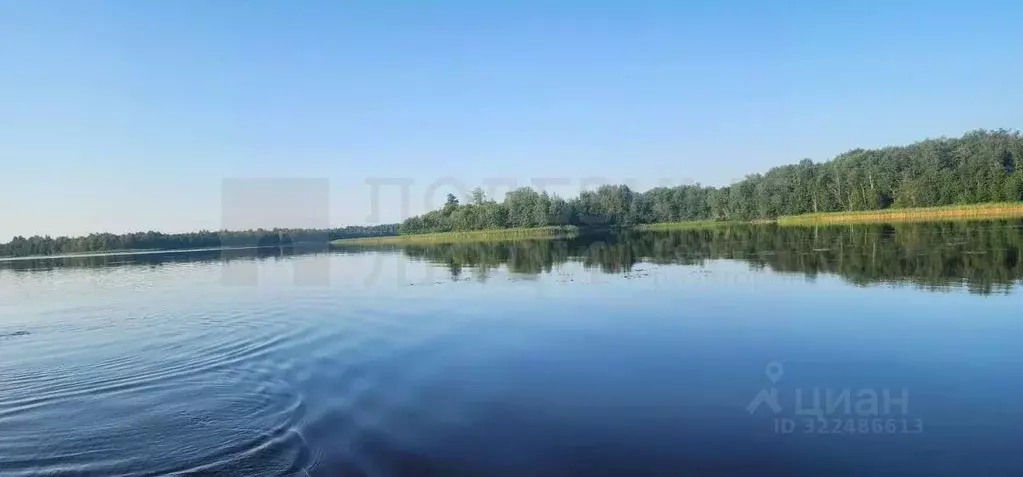 Участок в Новгородская область, Мошенской муниципальный округ, д. ... - Фото 0