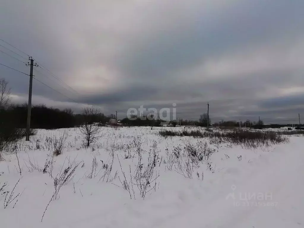 Участок в Нижегородская область, Навашинский муниципальный округ, с. ... - Фото 0