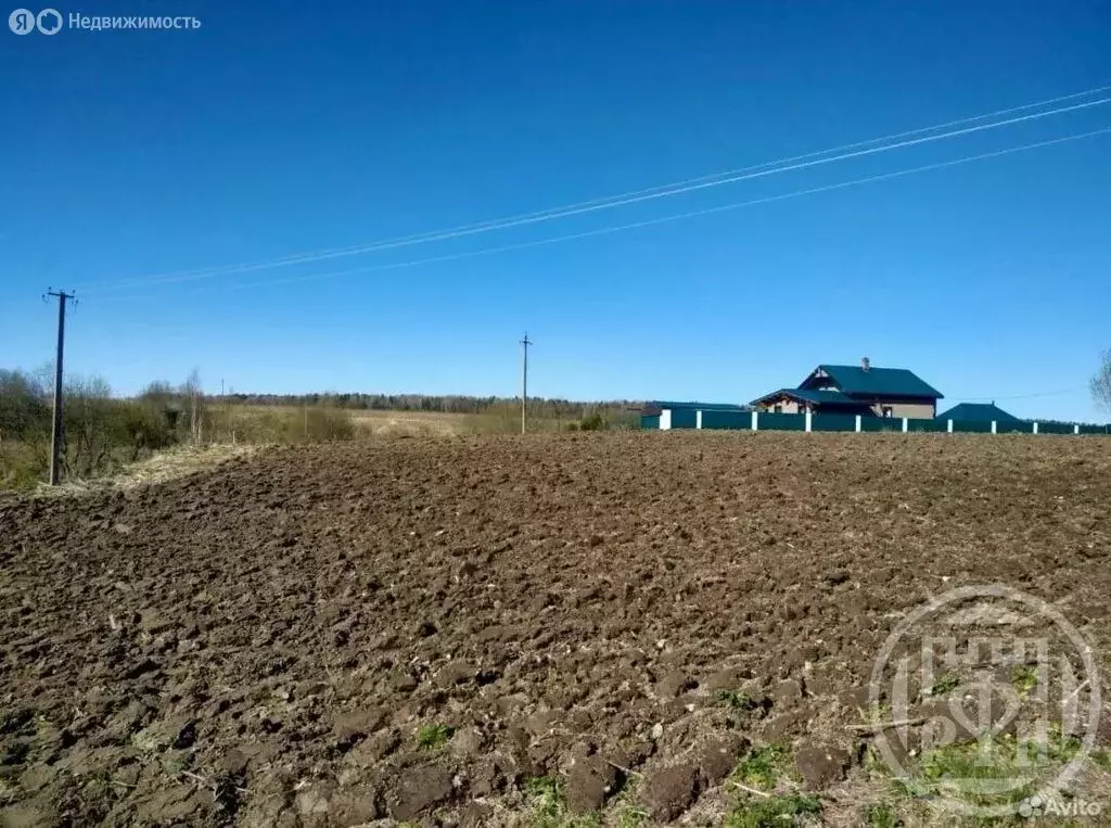 Участок в деревня Тарасово, 12-я линия, 127 (25 м) - Фото 2