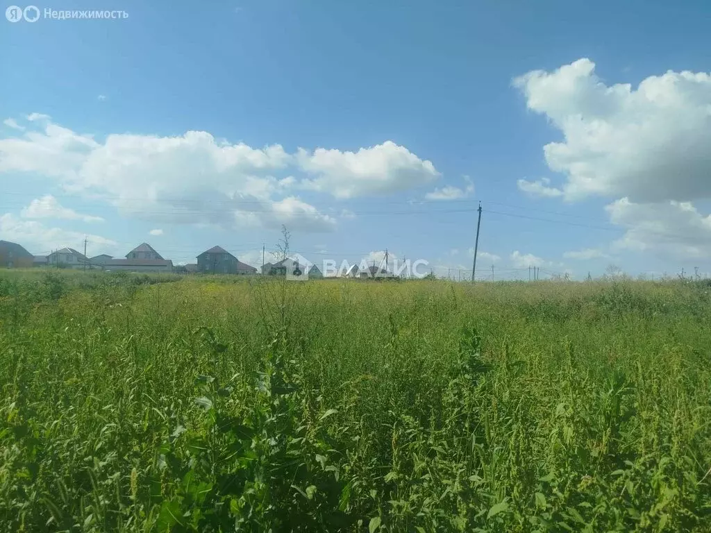 Участок в Бессоновка, улица Большой Колояр, 150 (15 м) - Фото 0