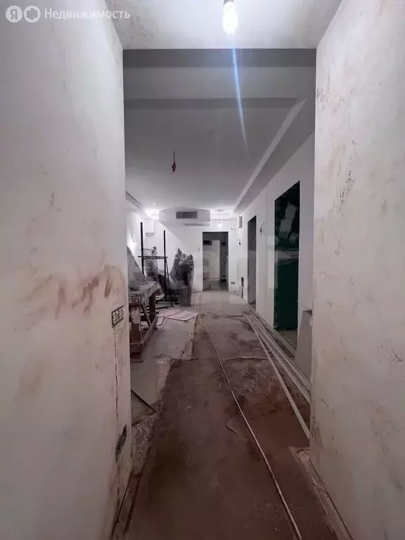 Помещение свободного назначения (320 м) - Фото 2