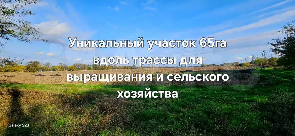 Участок 65 га (СНТ, ДНП) - Фото 0