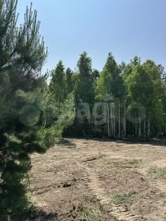Участок 7,3 сот. (ИЖС) - Фото 1