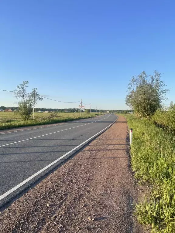 Участок в Ленинградская область, Ломоносовский район, Лопухинское ... - Фото 0