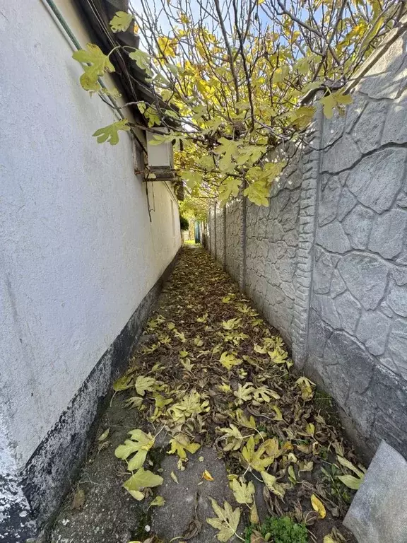 Дом в Крым, Евпатория городской округ, Заозерное пгт ул. Чкалова, 30 ... - Фото 2