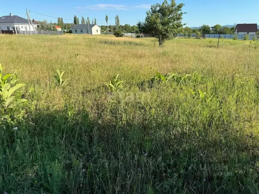 Участок в Краснодарский край, Новороссийск городской округ, ... - Фото 0