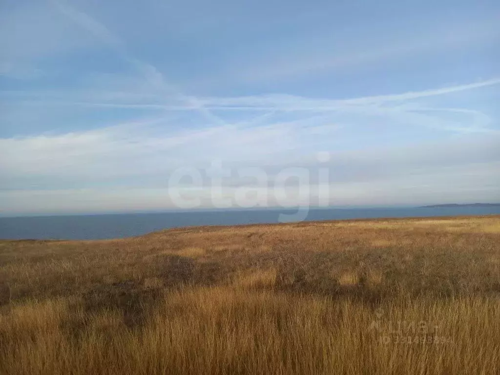 Участок в Крым, Ленинский район, Семисотское с/пос, с. Каменское ул. ... - Фото 1