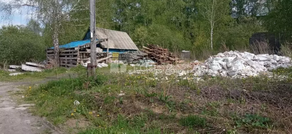 Участок в Новосибирская область, Новосибирск Золотая Горка СНТ, аллея ... - Фото 0
