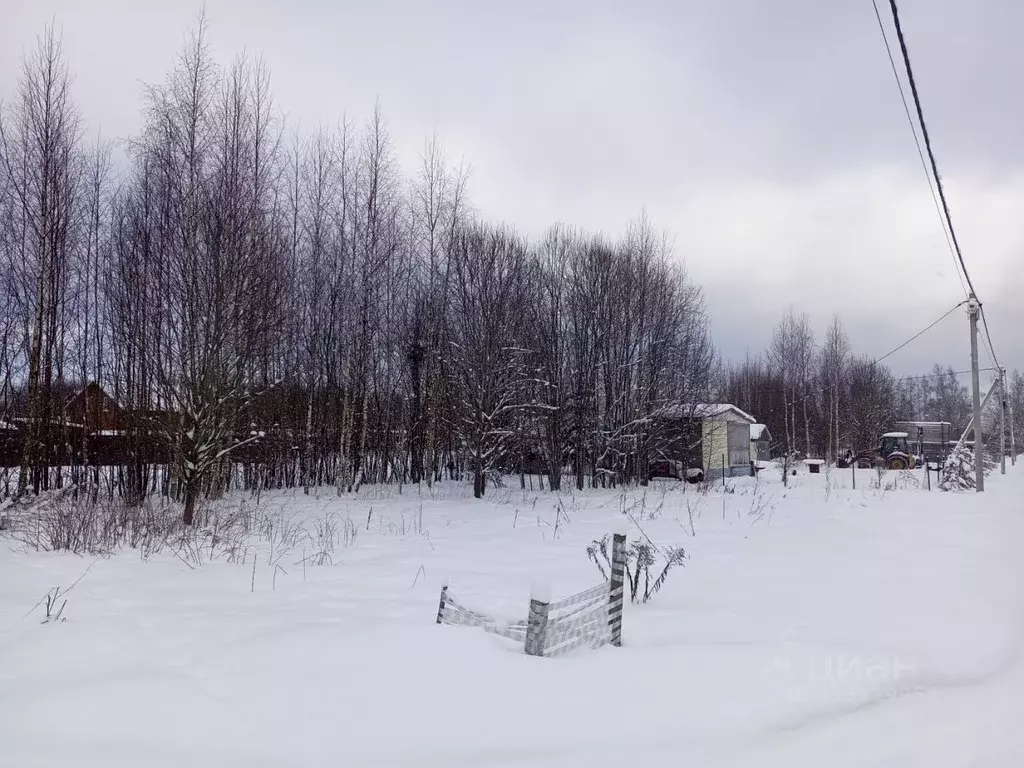 Участок в Ленинградская область, Всеволожский район, Рахьинское ... - Фото 1