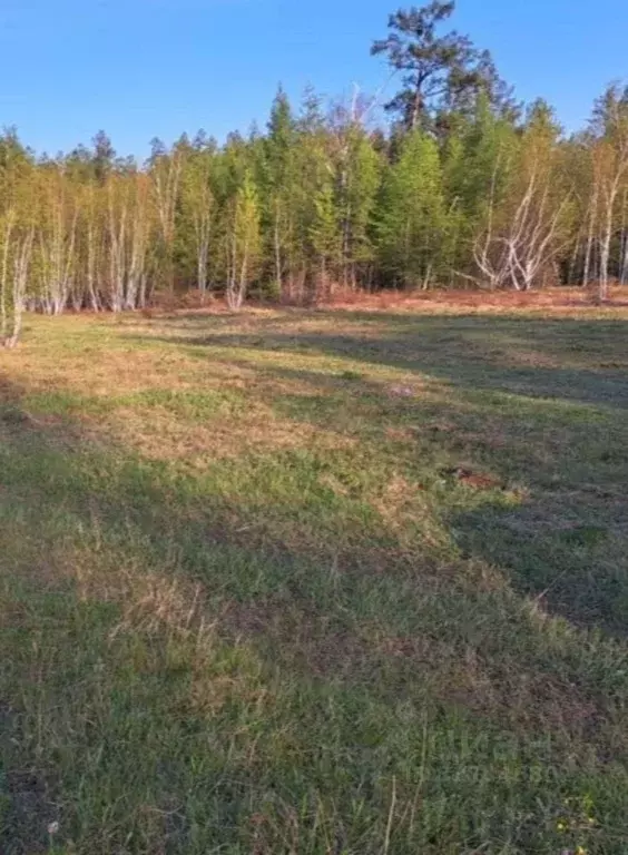 Участок в Саха (Якутия), Якутск городской округ, с. Маган  (10.0 сот.) - Фото 0