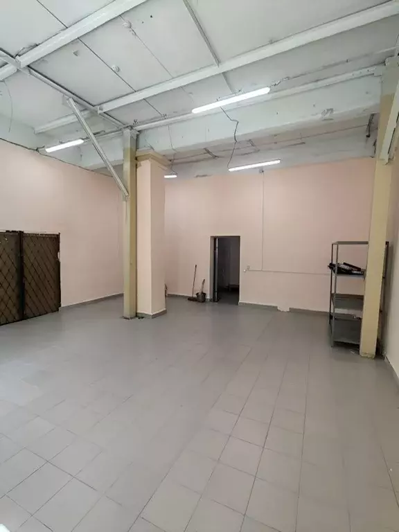 Склад в Новосибирская область, Новосибирск ул. 1-я Ельцовка, 1кВ (54 ... - Фото 2