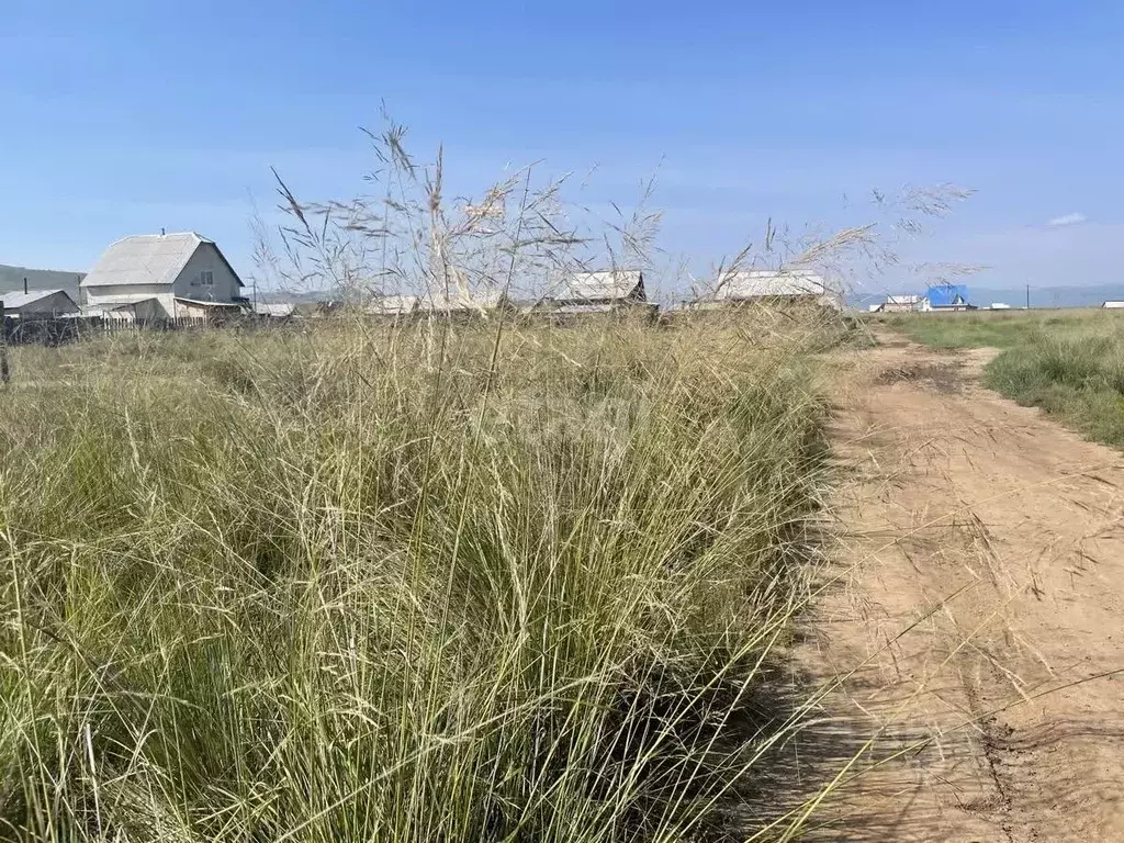 Участок в Бурятия, Иволгинский район, Нижнеиволгинское с/пос, с. ... - Фото 1